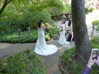 Wedding  2017-04-29 15-27-44 079